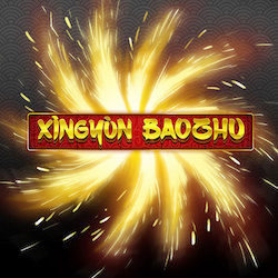 XINGYUN BAOZHU Logo