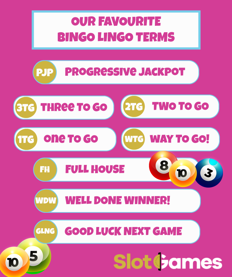 Bingo Lingo Infographic